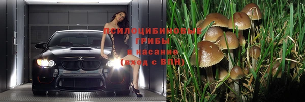 стаф Абдулино