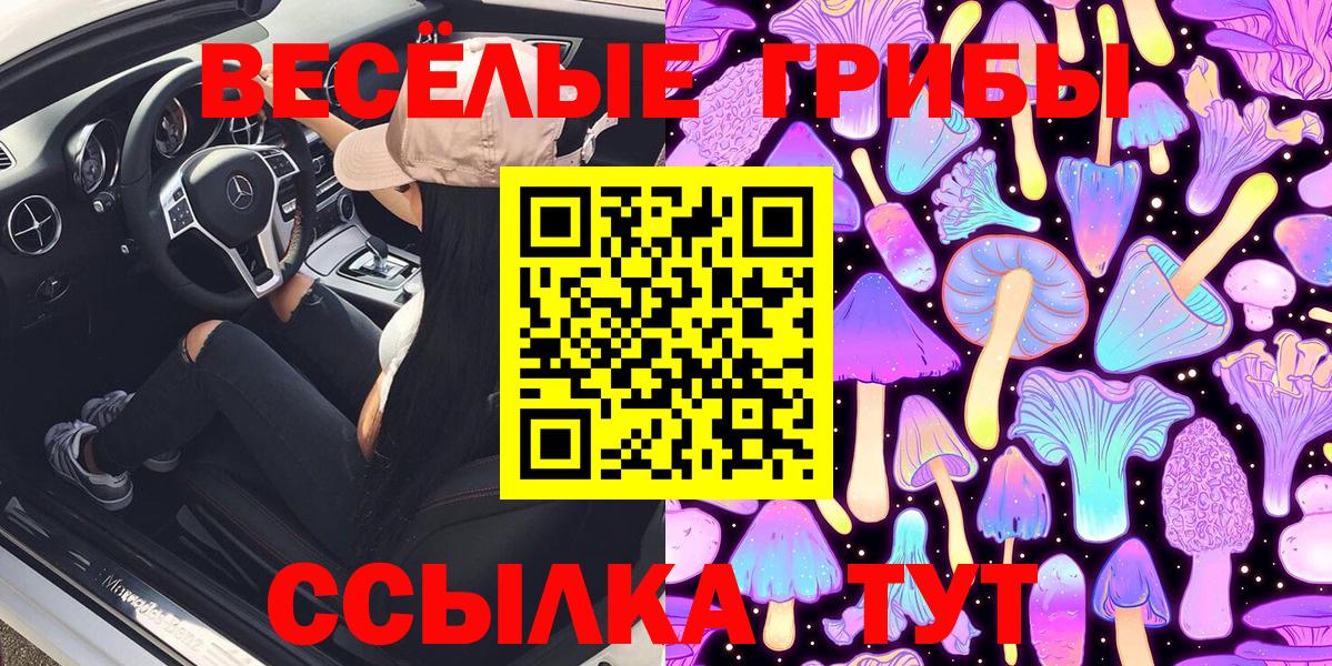 Курск  что такое наркотик  Вход с VPN  Галлюциногенные грибы MAGIC MUSHROOMS 