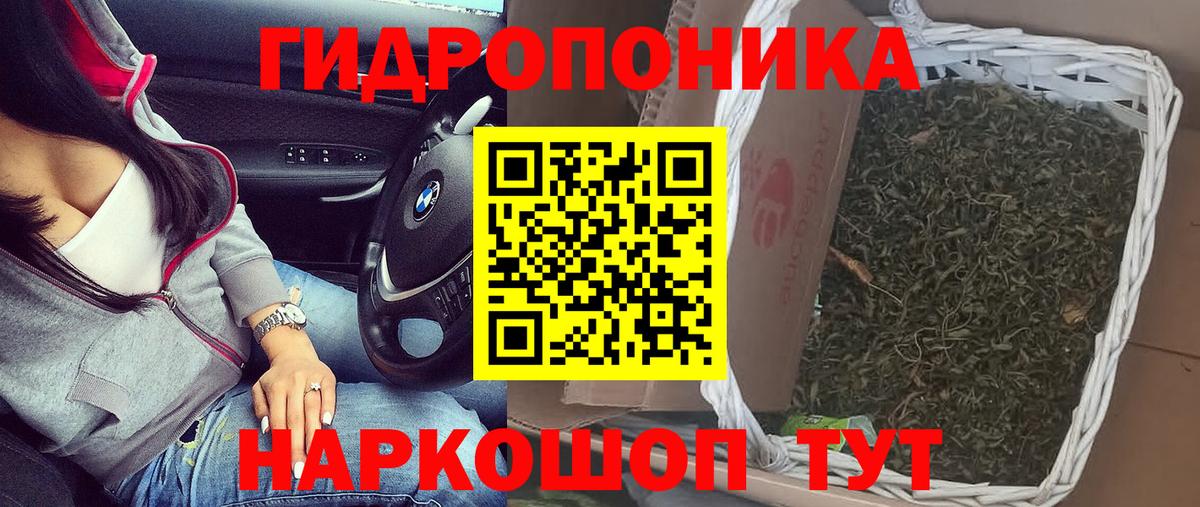 Курск  Бошки марихуана семена  Вход с VPN  Шишки марихуана планчик  МАРИХУАНА THC 21% 